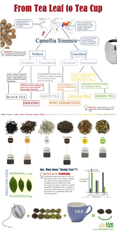 Infographic. From tea leaf to teacup. Source: LiveInTheNow.com